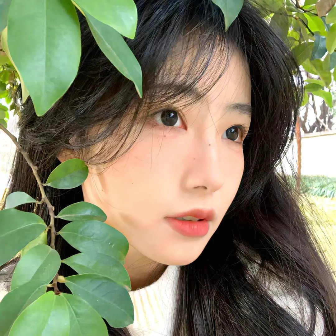 吸血街头